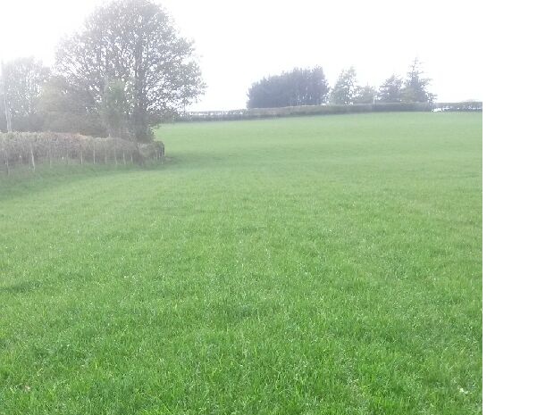No slurry left on the field 10 days later